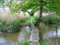 Nature Regional Park of Briere in Brittany France